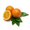 LARANJA SUCO KG