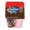 IOGURTE CHAMYTO GO MO100G