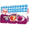 BEBIDA LACTEA BIO LAT S FRUTAS 1,150GR