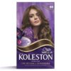 TINTA KOLESTON LOURO MD70