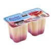 SOBREMESA LACTEA FRUTAP CHOCOLATE 320GR