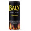 CHA LEAO POWER GUARANA ACAI CP 300ML